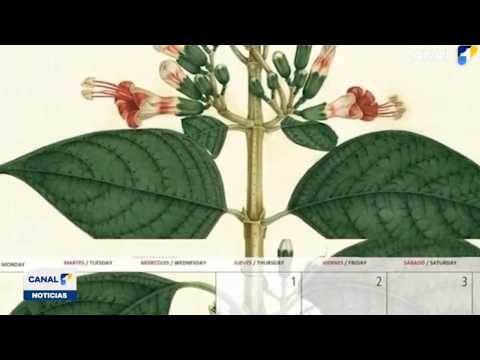 🌱 Mariquita vuelve a estar en el centro de una historia que comenzó hace más de 200 años.