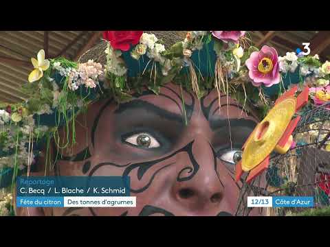 Alpes-Maritimes : à Menton, arrivée des premiers agrumes pour la Fête du Citron