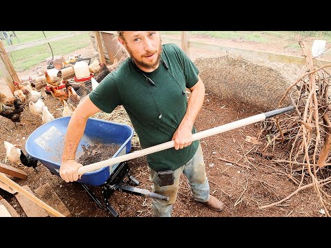 It’s Good For The Soul || Composting With Chickens