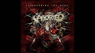Aborted (BE) - Engineering the Dead (Album 2001 / Re-issue 2008)