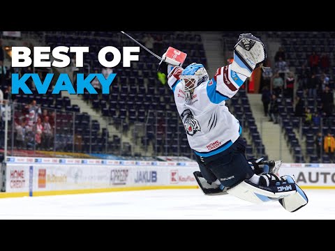 Nejlepší zákroky Petra Kváči