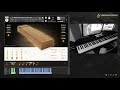 Video 7: Monochords and Shruti Box