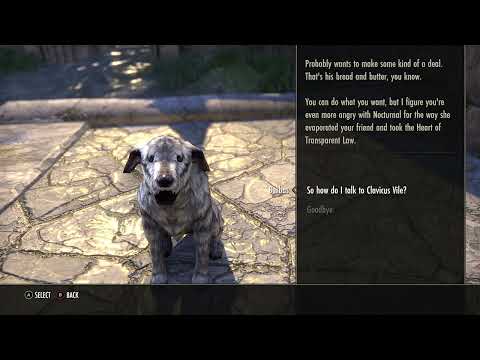 Elder Scrolls Online-Meeting Barbas again in Summerset