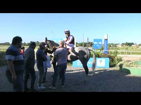 SINT COLONIA 17 DE FEBRERO 2022 c08