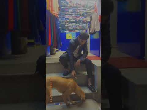 Mr Mateen Caring For Animals