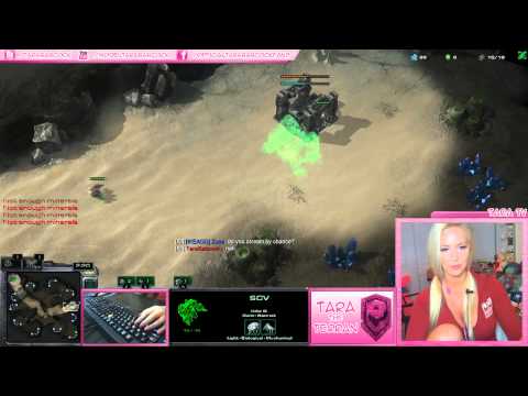 [Stream Highlight] The Regret of Cheesing on Ladder