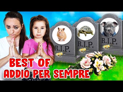 MARTINA MISSY BEST OF ADDIO PER SEMPRE AL MIO CRICETINO HO SCHIACCIATO TARTARUGA E CANE CON MAMMA TY