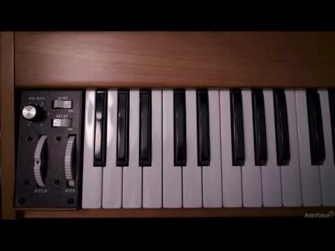 Free Download Minimoog Model D Explained and Explored TUTORiAL