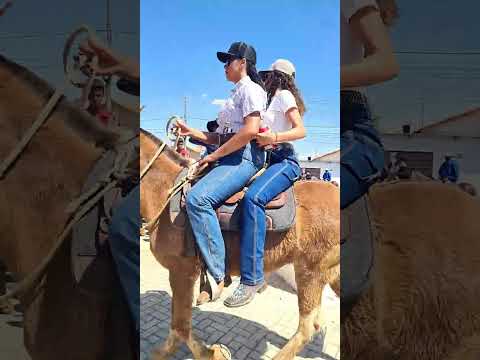 Cavalgada de Aragoiania Goiás 