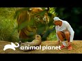 Encuentros de Frank con peligrosos felinos | Wild Frank | Animal Planet