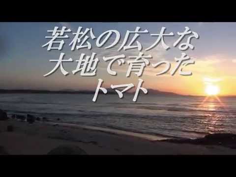 20141109潮風キャベツCM（チームたくろう）