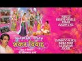 Shiv Vivah Shivji Bihane Damroo Wale Baba Somnath Sharma Full Audio Song Juke Box I Shankar Vivah