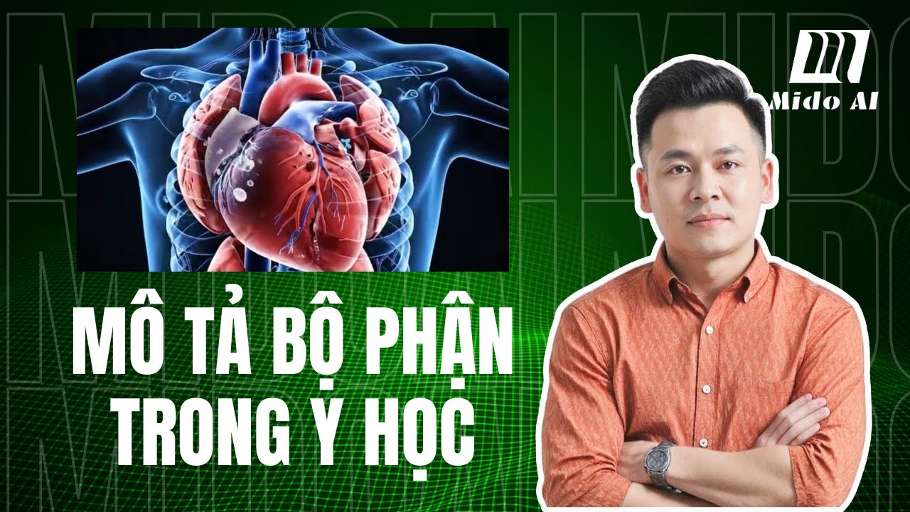 AI Mô Tả Bộ Phận Cơ Thể bằng Video | MiDo AI