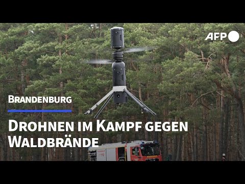 Fliegende Feuermelder: Drohnen erkennen Waldbrände in Brandenburg | AFP