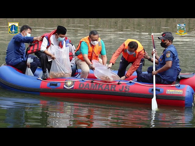 10 Ribu Benih Ikan Nila Ditebar Di Waduk Prapanca