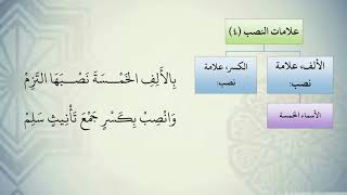 صورة شرح نظم الآجرومية مع التشجير //28//الشيخ محمد محمود الشنقيطي