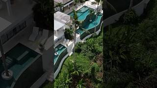 Are you seeing this??The temptation to just chill back and relax all day was real?