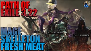 Path of Exile 3.22 : Mage Skeletons Crit - League start & End game build ! Enorme build invocateur!
