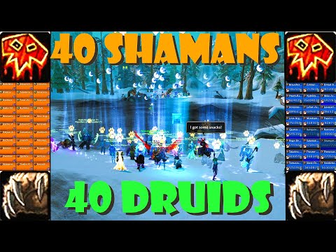 40 Druids VS 40 Shamans