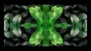 Beth Orton Best Bit Plantscape 06,