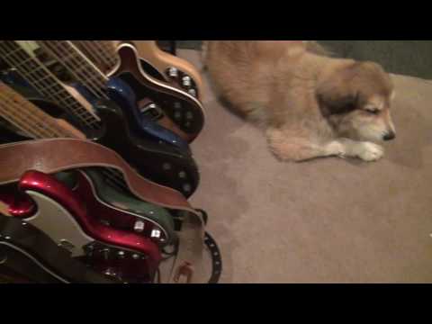 Andy Irvine Bass Cave - Rig Run Down - The Daily Funk Club