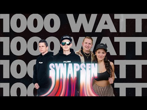 SYNAPSEN 1000 WATT - PAZOO x ANSTANDSLOS & DURCHGEKNALLT