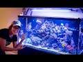 120 Gallon Saltwater Aquarium For Sale
