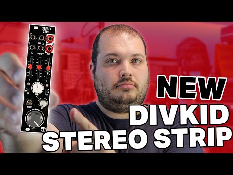 DivKid STEREO STRIP Eurorack Input/Output VCA and Panner Module image 2