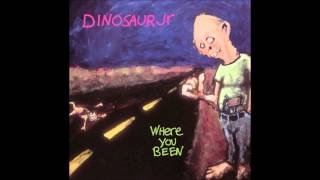 Dinosaur Jr. - Hide (John Peel session) (bonus track)