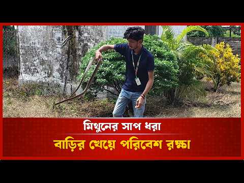 মিথুনের সাপ ধরা, বাড়ির খেয়ে পরিবেশ রক্ষা
