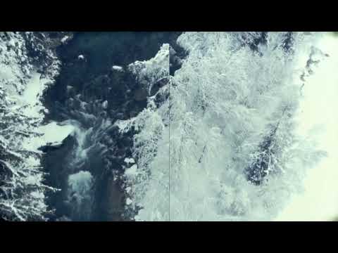 Alex Lustig - OI (Official Video)