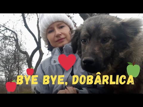 Ne întoarcem prin întorsura Buzăului! 😂