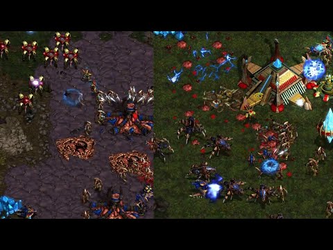 Pressure plays Counter Pressure | Soma vs ladder Protoss | Starcraft Broodwar