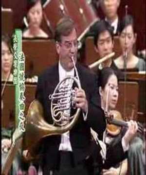 Richard Strauss: Horn Concerto No.1 in Eb major, Op.11, I