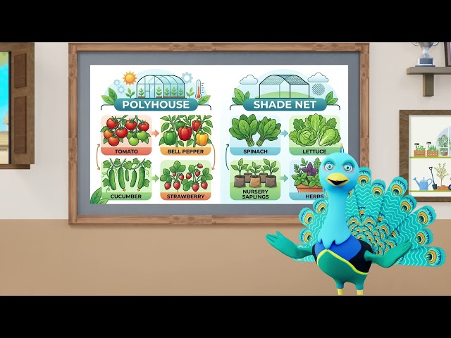 thumbnail of the course