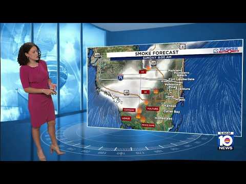 Everglades Weather