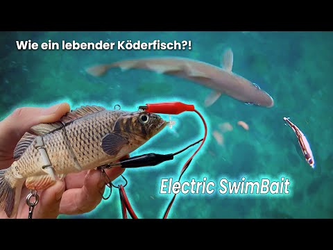 Robotic Lure - elektrischer Köderfisch - automatischer Swimbait Test!