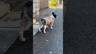 止まってみた