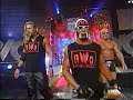 Hollywood Hogan, Kevin Nash, Scott Steiner (nWo ...