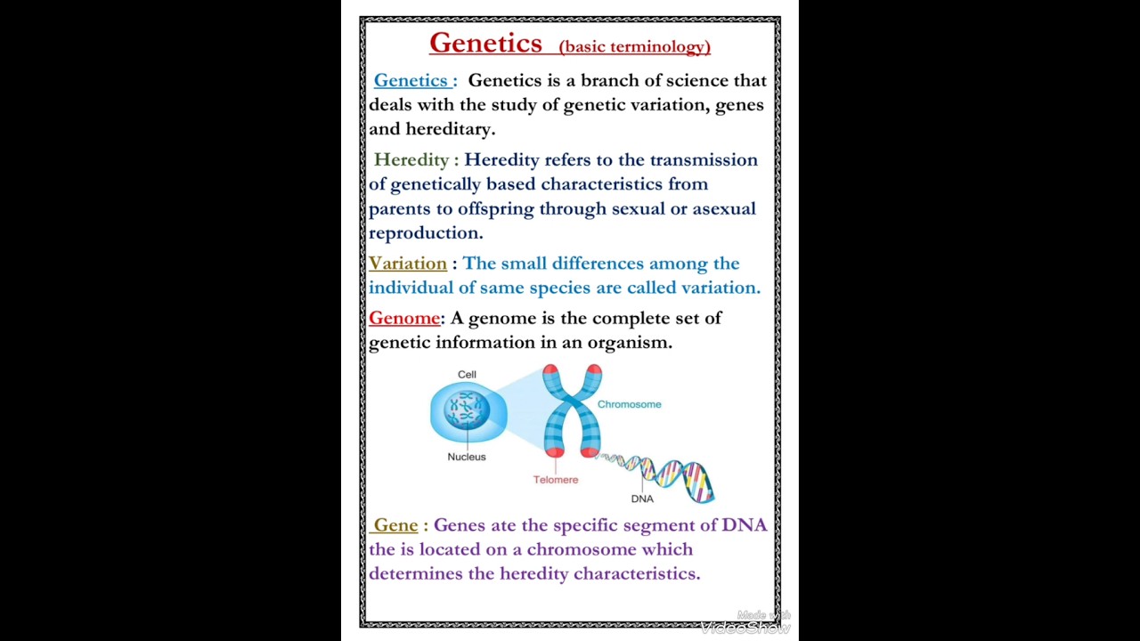 Genetics ll basic terminology