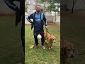 Como eu, sendo cego, pego o cocô do meu cão-guia