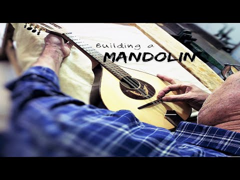 Mandolin Making from Scratch. From Pine and Spruce Logs to a Complete Mandolin