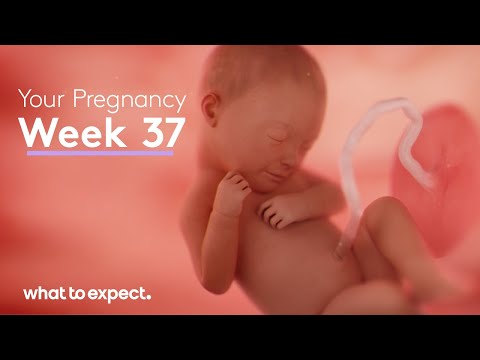 Mother-Baby developments this week (week 37)