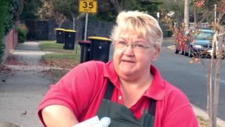 How To Grow Grass From Seed - D.I.Y. At Bunnings