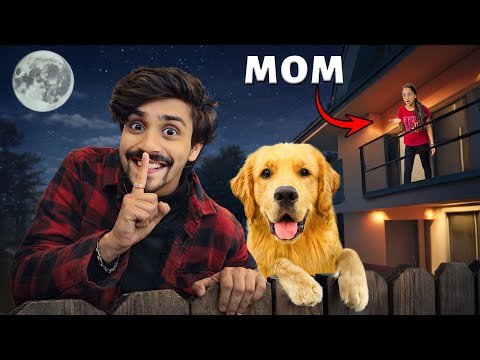 Sneaking Out At Night With Reo | Anant Rastogi 