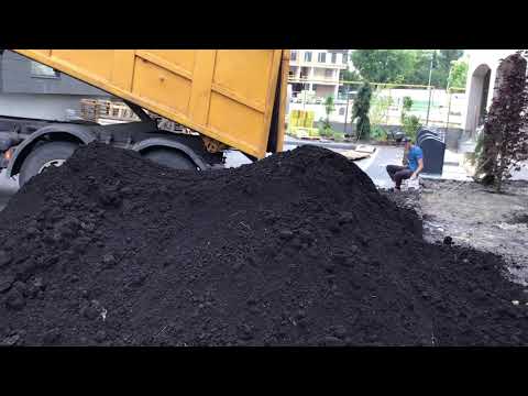 Чернозем, торф - фото 2 - id-p46821214