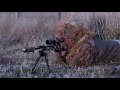 Best 4K Coyote Hunting HeadShots.  Predator Hunting: SUPPRESSED® 