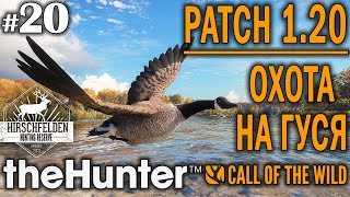Как поставить приманку в the hunter
