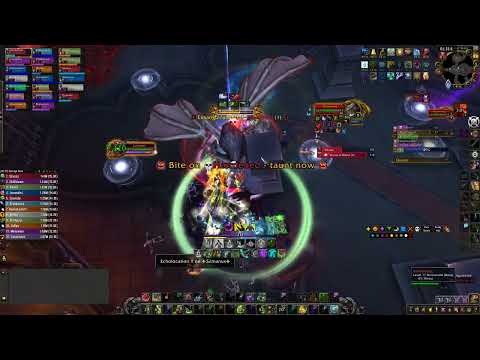 Fated Castle Nathria   Mythic Shriekwing   Tank POV