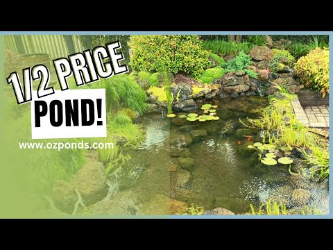 Building an ecosystem pond on a budget